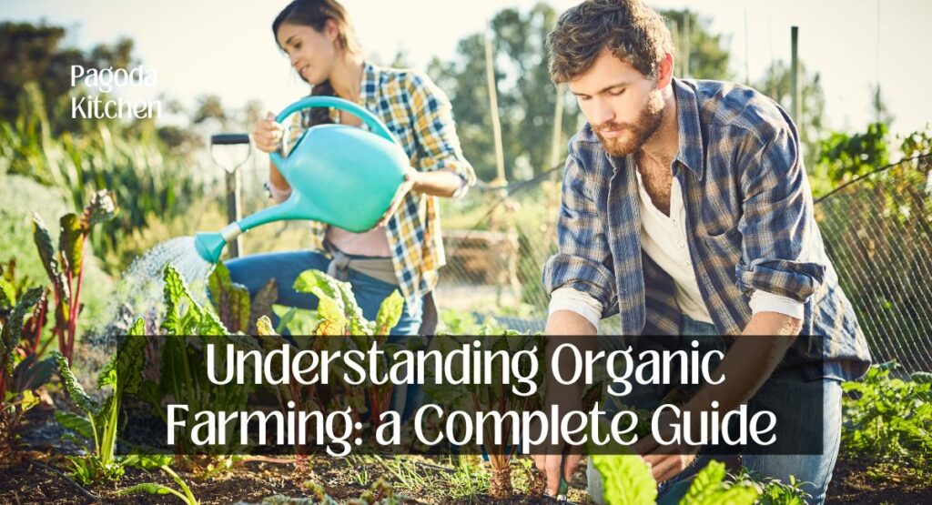 Understanding Organic Farming: a Complete Guide