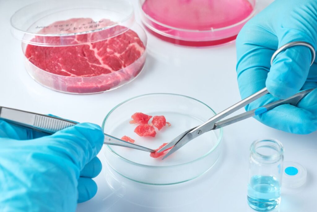 Revolutionizing the Future of Meat with Cell-Cultivated Products